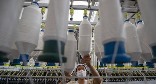 三重困境下的外貿工廠 接單、履約與收款之難，國內貿易轉型路在何方？